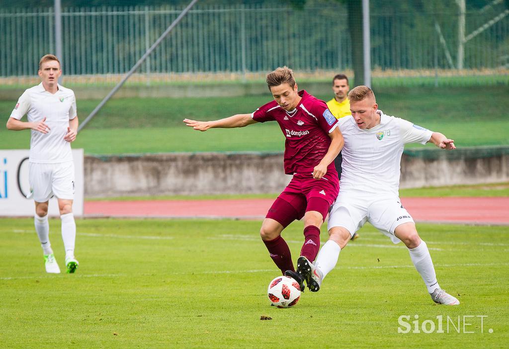 Triglav Rudar Velenje PLTS