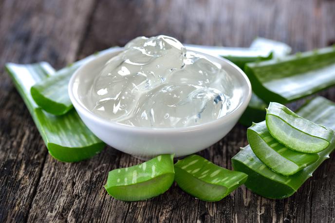 aloe vera | Foto Shutterstock