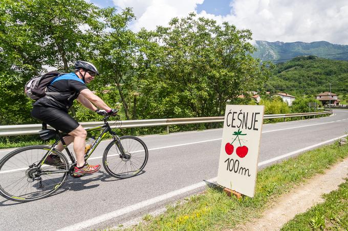 V cilju so kolesarje čakale briške češnje. Da maraton poteka v sezoni češenj, je bilo mogoče opaziti že na progi. | Foto: 