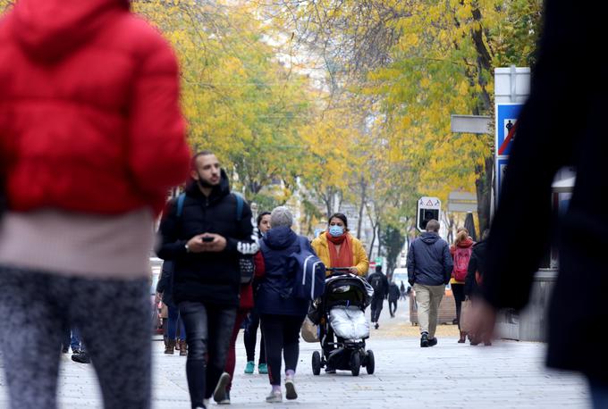 Dunaju zaradi velikega števila priseljencev iz balkanskih držav rečejo tudi prestolnica Balkana ali največje balkansko mesto. | Foto: Reuters