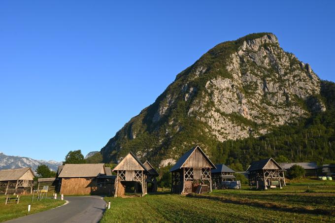 Zlato jutro v Bohinju (Studor) | Foto: Matej Podgoršek