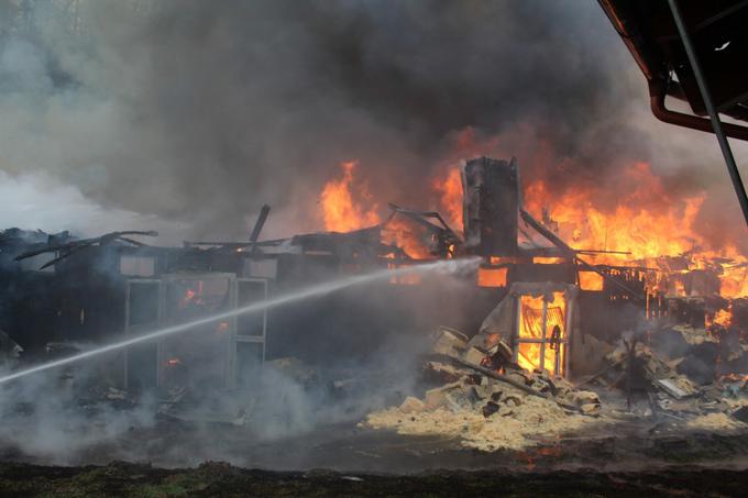 Gašenje požara blizu Lipnice | Foto: Stadtfeuerwehr Leibnitz