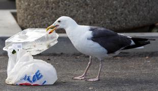 Ankaran želi postati poskusna občina brez plastičnih vrečk