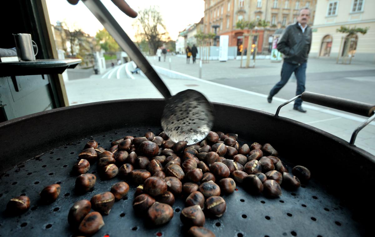 kostanj, Ljubljana | Najvišjo ceno je ponudilo podjetje Shari-Go.  | Foto STA