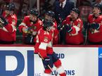 Florida Panthers