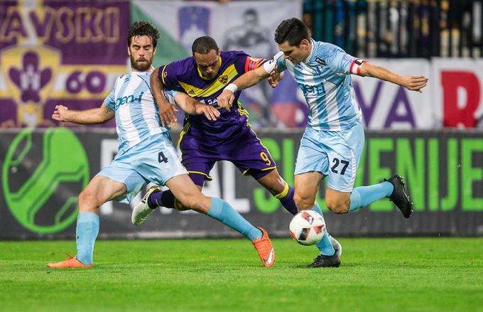 Vrtnice bodo do začetka spomladanskega dela večino časa preživele v Novi Gorici. | Foto: Vid Ponikvar