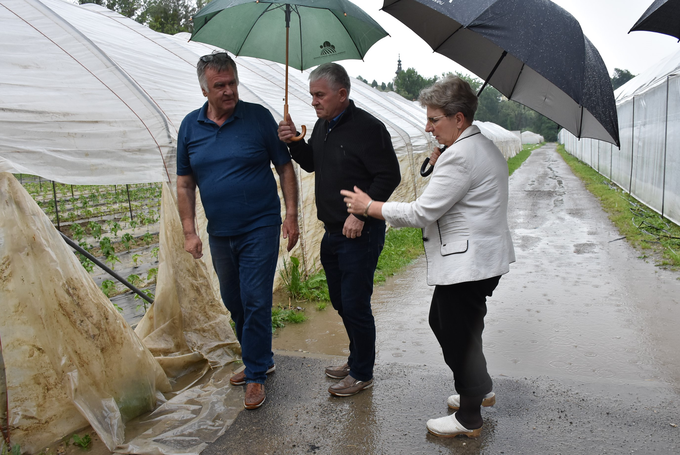 Kmetijska ministrica Irena Šinko si je s predsednikom Kmetijsko gozdarske zbornice Slovenije Romanom Žvegličem (v sredini) 23. maja ogledala tri kmetije, ki so utrpele škodo ob obilnem deževju. | Foto: Ministrstvo za kmetijstvo, gozdarstvo in prehrano