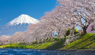 V mestu na Japonskem bodo zaradi turistov zastrli pogled na goro Fuji