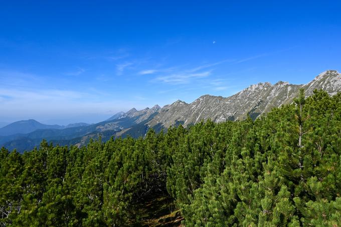 Pogled do konca grebena Košute, do Velikega vrha. V daljavi prepoznamo še Begunjščico, pa Triglav, levo je Dobrča. | Foto: Matej Podgoršek