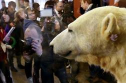 Priljubljeni medved Knut na razstavi v berlinskem muzeju