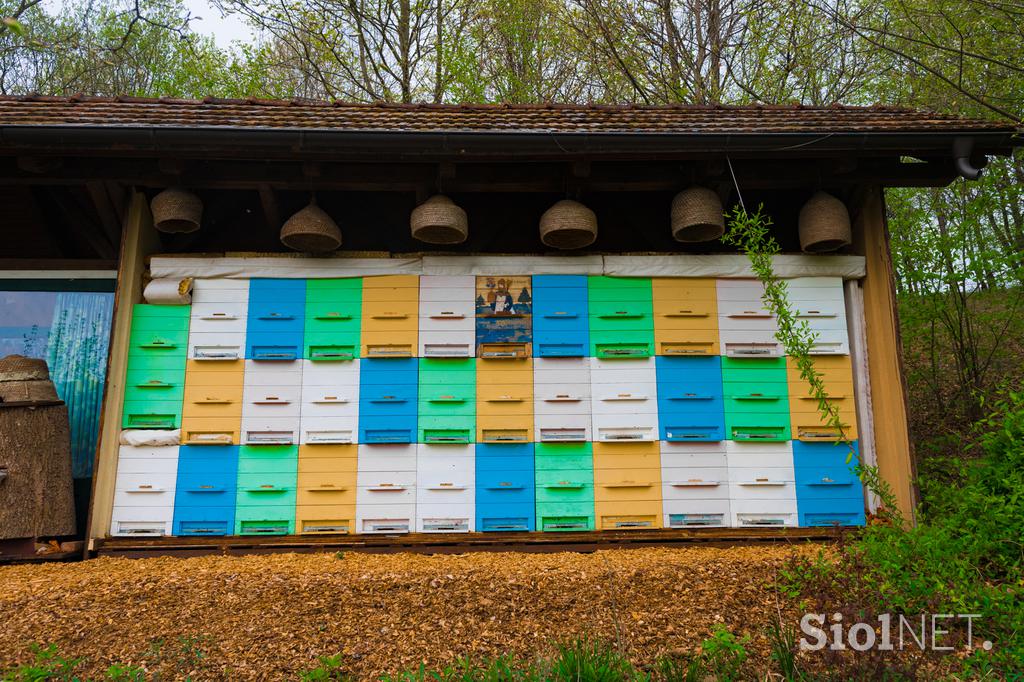 Herman Kisilak Čebelji gradič med čebele kmetija turizem Prekmurje Rogašovci