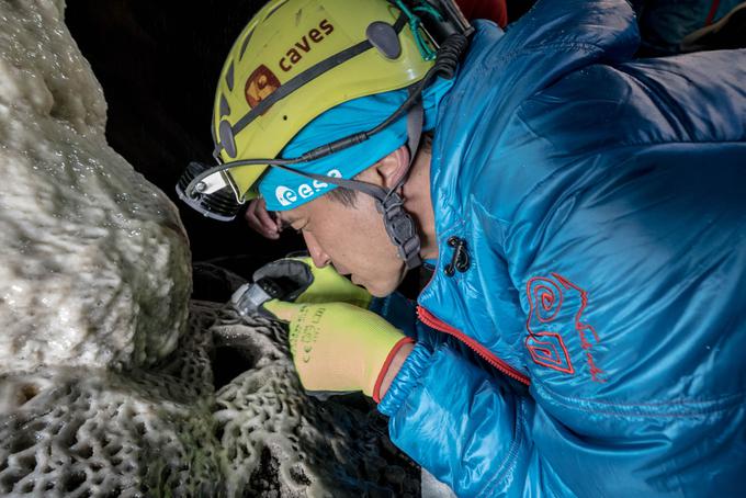 V jami so proučevali tudi mikroorganizme.  | Foto: Evropska vesoljska agencija (ESA)