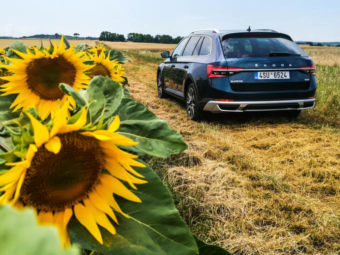 Škoda superb | Foto: Gašper Pirman