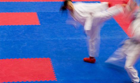 Karate od 2025 v prvem razredu športnih panog