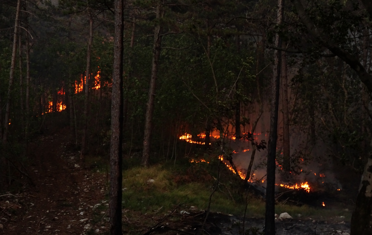 Požar na Krasu | V najobsežnejši in najzahtevnejši intervenciji se je z ognjem borilo več kot 20 tisoč ljudi. | Foto Civilna zaščita Severne Primorske