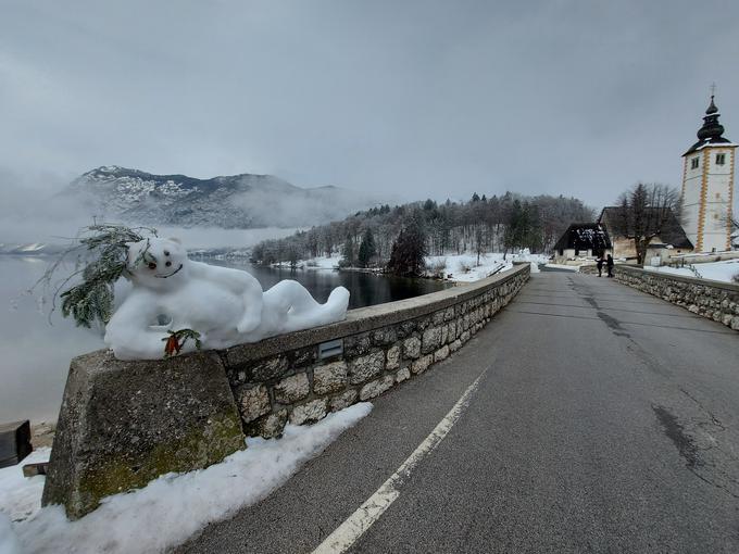 Bohinj snežaki | Foto: Alenka Teran Košir