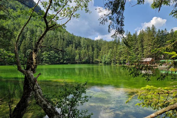 Planšarsko jezero | Foto: Matej Podgoršek