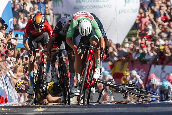 Na lanski Vuelti se je Roglič raztreščil v ciljnem sprintu v 16. etapi in dirke ni mogel nadaljevati. | Foto: Guliverimage