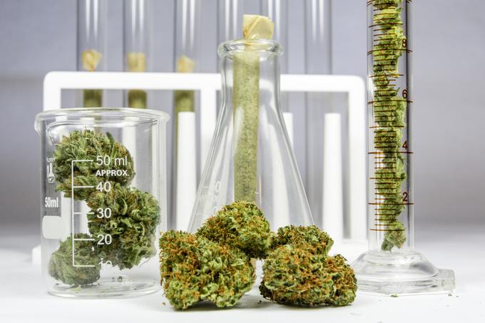 CBD | Foto: Shutterstock