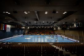 RK Trimo Trebnje : Rhein-Neckar Löven, liga EHF