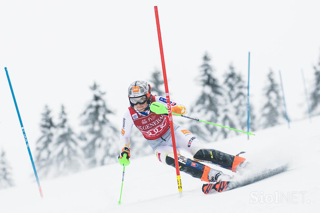 Zlata lisica, slalom