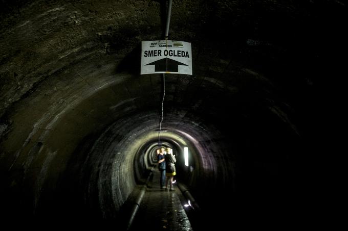 V tem poletju v rovih poteka tudi del Pocestnice, vodeni ogled galerije na prostem v spremstvu "kustosa" iz vrst uličnega gledališča Ljud, pripravljajo tudi razstavo Zek in rov. | Foto: 