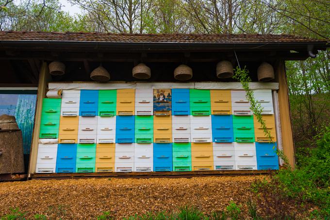 Nova študija je prva, ki je preučevala učinkovitost medu med vsemi starostnimi skupinami in ne samo med otroki, so prepričani njeni avtorji. | Foto: Matjaž Vertuš