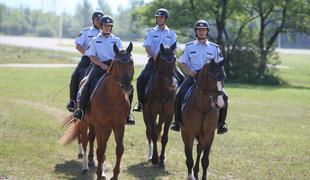 Iztrebki policijskih konjev kot gnojilo