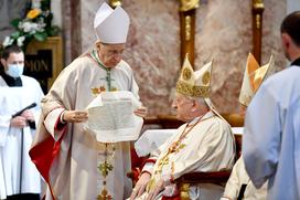 Mitja Leskovar, škof, apostolski nuncij v Iraku