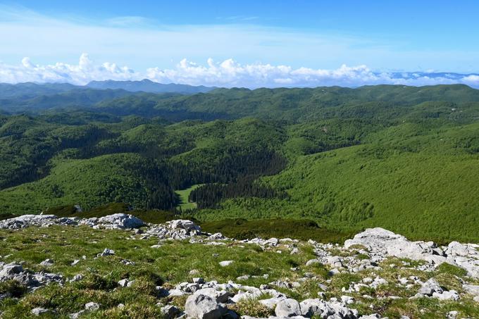 Snežniški gozdovi, do kamor seže pogled. Vse do Gorskega kotarja na Hrvaškem. | Foto: Matej Podgoršek