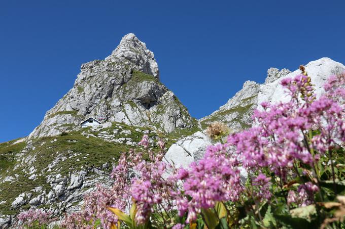 Zadnji del vzpona | Foto: Matej Podgoršek