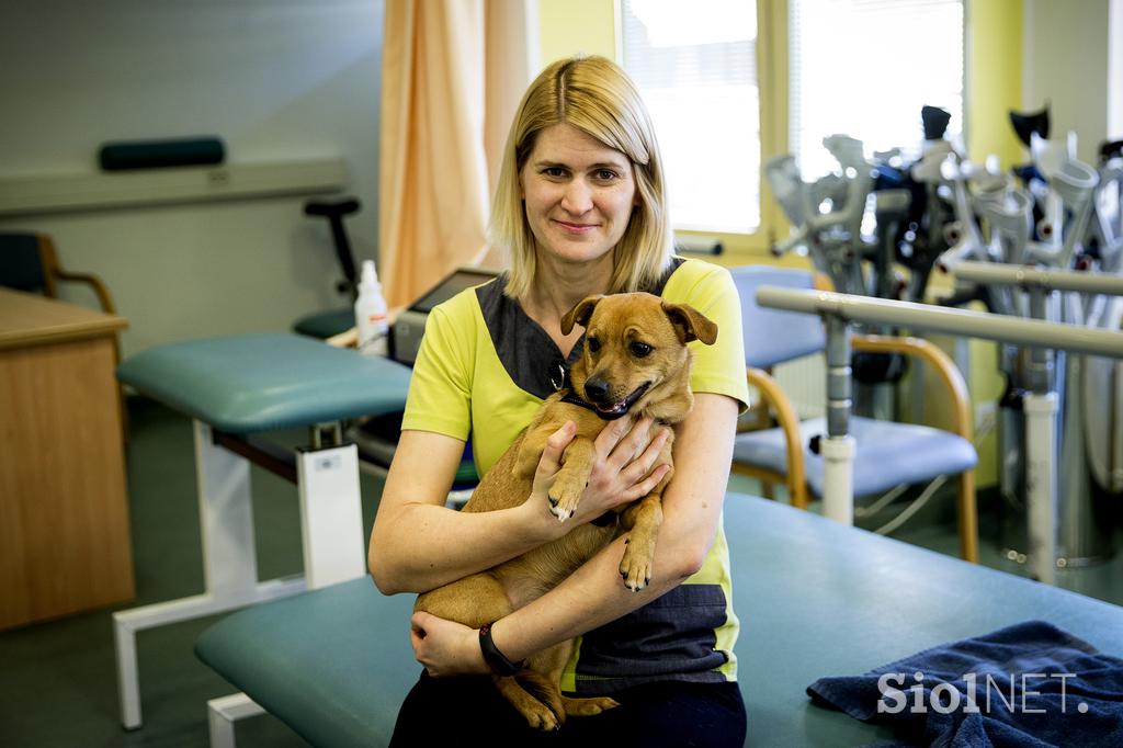 Center starejših Medvode dom za starejše starejši