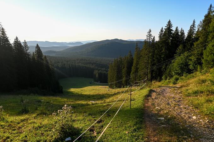 Ob smučišču strmo navzgor | Foto: Matej Podgoršek