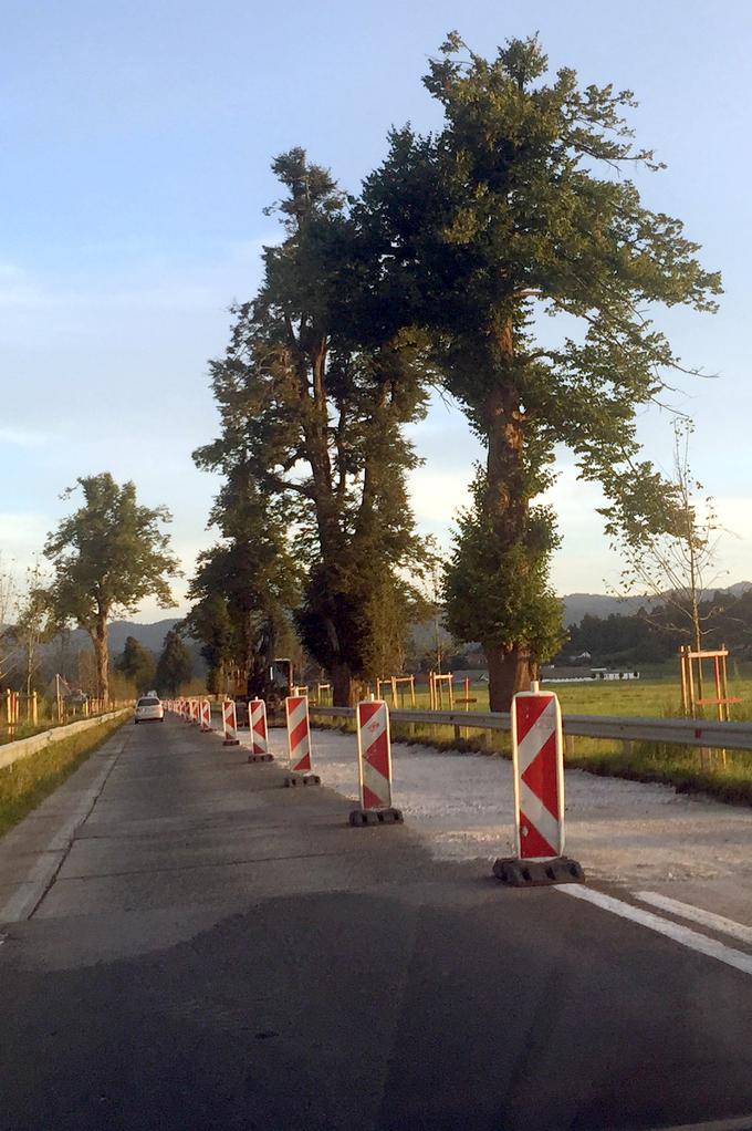 Direkcija za infrastrukturo je naročila sanacijo poškodovanega vozišča v dolžini 1.740 metrov. To je odsek med Logatcem in industrijsko cono Zapolje v smeri proti Vrhniki. | Foto: 