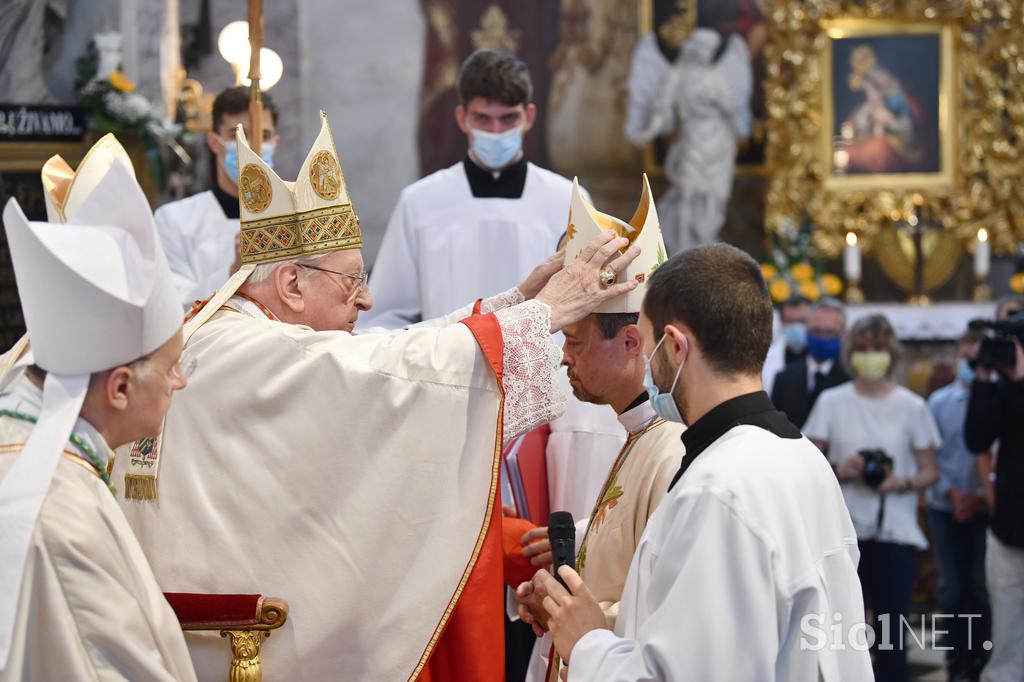 Mitja Leskovar, škof, apostolski nuncij v Iraku