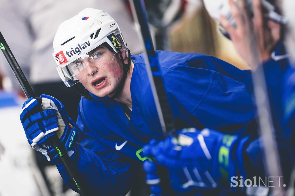 Zbor slovenske hokejske reprezentance, Bled