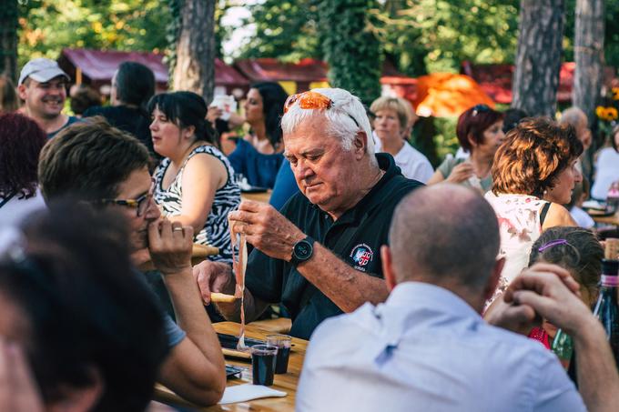 Območna razvojna agencija Krasa in Brkinov | Foto: 