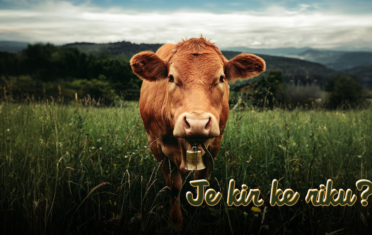 Je kir ke riku | Pohorju se v narečju reče Poharje, tako da ima pridevnik poharska iz podnaslova zgolj geografski pomen. | Foto promocijsko gradivo