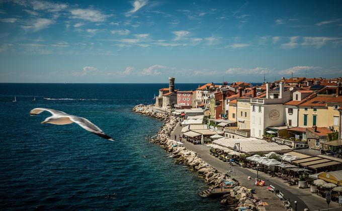 Obalno-kraška regija bo od petka v rumeni fazi. | Foto: Vid Ponikvar