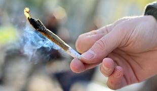 Organizatorji OI 2020 opozarjajo športnike: marihuana pri nas ni dovoljena