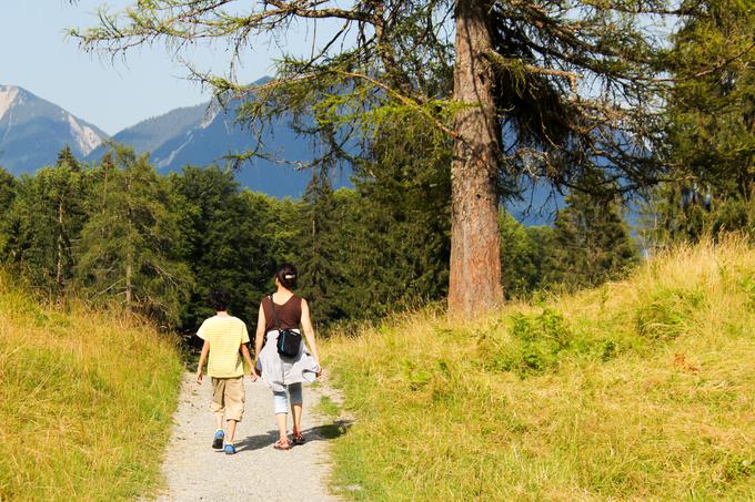 otroci družina sprehod poletje narava | Foto: 