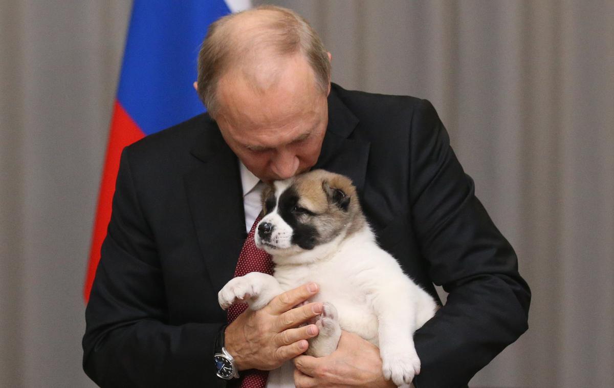 Vladimir Putin | V letošnjem koledarju je med drugim fotografija Putina s psičkom, ki mu ga je podaril predsednik Turkmenistana. | Foto Getty Images