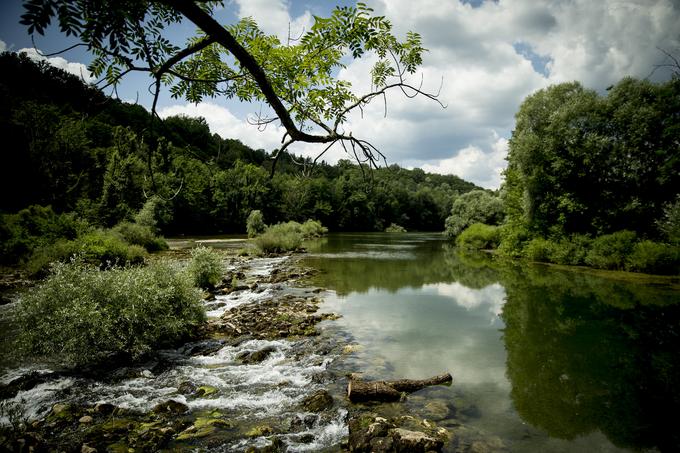 Kmetija Čemasovih leži ob Kolpi. Pot, ki vodi do nje, pripelje do prostranega travnika, ki ga ob reki obdaja visoka zelena ograja z ostro žico na vrhu. Ograja se ravno pod njimi zaključi, a s kmetije ni vidna. Da pridejo do reke in starega mlina, na katerem so v Jožetovem otroštvu mleli moko, odprejo v ograji vrata, ki jim omogočajo prost prehod. | Foto: Ana Kovač