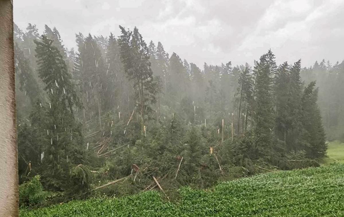 Neurje v Topolščici | V Topolšici je neurje z vetrom podrlo več dreves. | Foto Azra Ibrišimović/Neurje.si