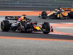 Katar Max Verstappen Red Bull