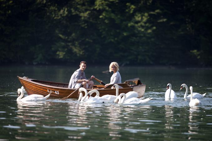 Zbiljsko jezero | Foto: Bojan Puhek