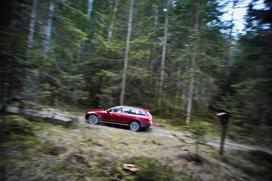 Mercedes-Benz E All-Terrain - gozd