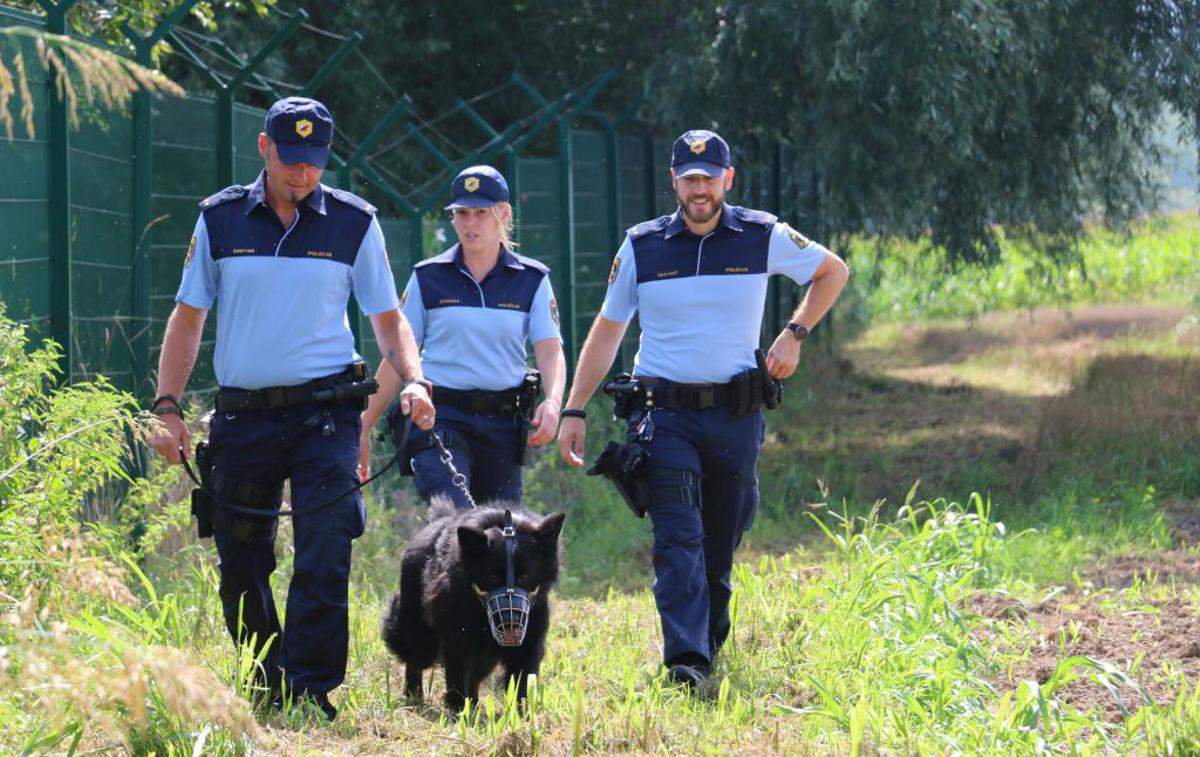 Policija | Na policiji pričakujejo, da se bo rast števila nezakonitih prehodov meje nadaljevala. | Foto Slovenska policija