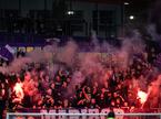 NK Maribor Viole