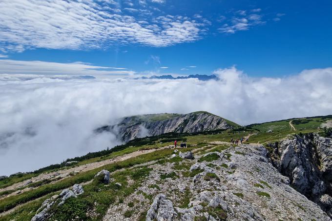 Panorama proti jugu na pašnike tik pod vrhom Ojstrca in vrhove Kamniško-Savinjskih Alp, ki se dvigajo iznad nizke oblačnosti. | Foto: Matej Podgoršek